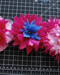Image 1_fourwide